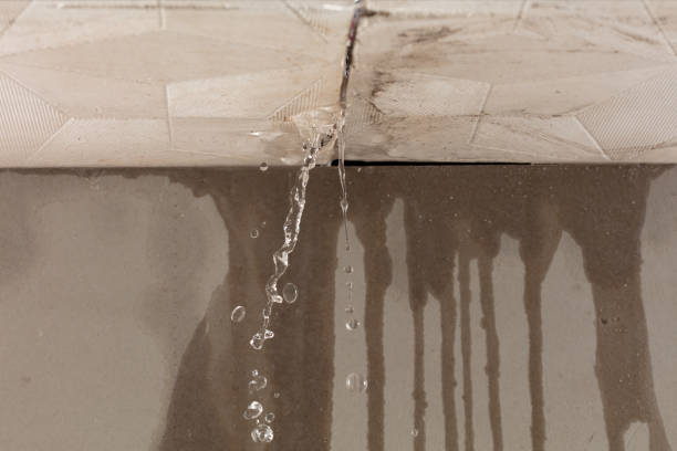 Professional Structural Drying technician working in Ada, OH